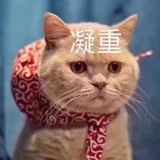 李咚咚
