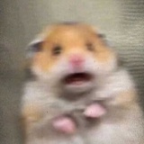 Tutututututu