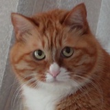 w.w