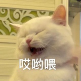 秦思危