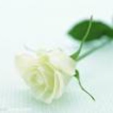 missyou5026