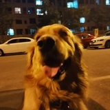 布洛芬*