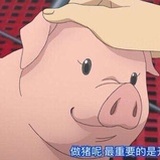 栖鲒