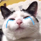 心心念念