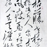 老叔