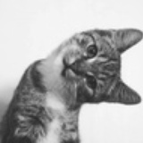 AV狼变猪