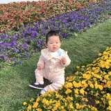 小橘子