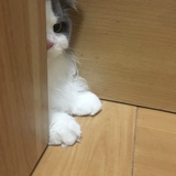 已注销
