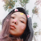 忙碌的小猫