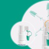 茉莉不爱吃豆包