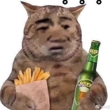 一脚一个狮子座
