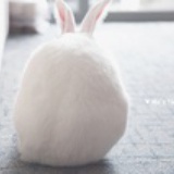 大衡