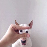 谁与争锋