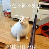 没个好名字