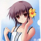 若雨似流年