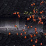 豆花