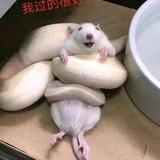 否否、