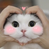 嘻嘻嘻😜