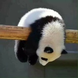 南方的周末