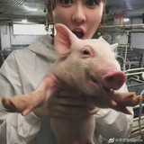 momo