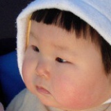 不吃猫的鱼