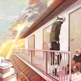 荒芜的野草疯长