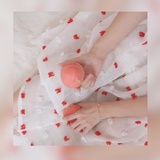 一颗蜜桃呀