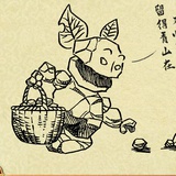 momo副本