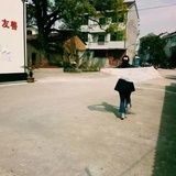 Helen颖
