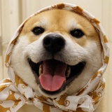 荔枝