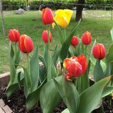 May-24
