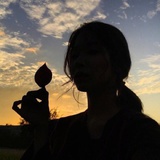 卷子