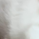 959