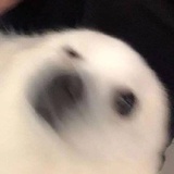 歪