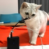 颖颖_机智的说
