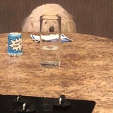 抓一只哦也