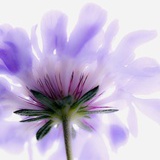 春暖花开