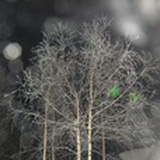 青瓦罐