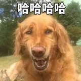 咚锅先生