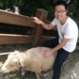 小灰灰