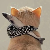 mowomo