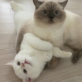 暮色