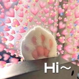 蘑菇小姊