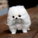 小进