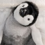 傻傻瓜瓜