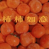 圈内靓仔