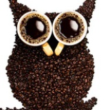 咖啡猫头鹰