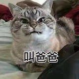改改昵称