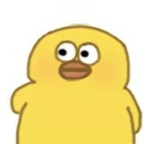 王小帽