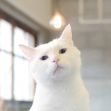 小实在